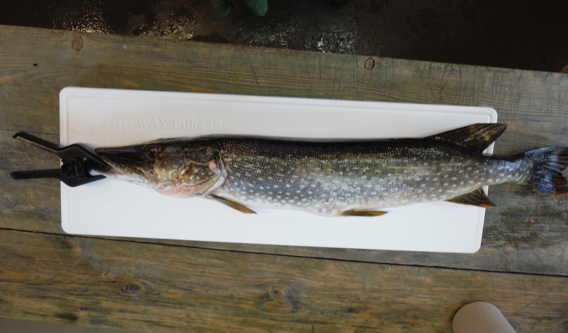 fillet-board-fish-cleaning-tables